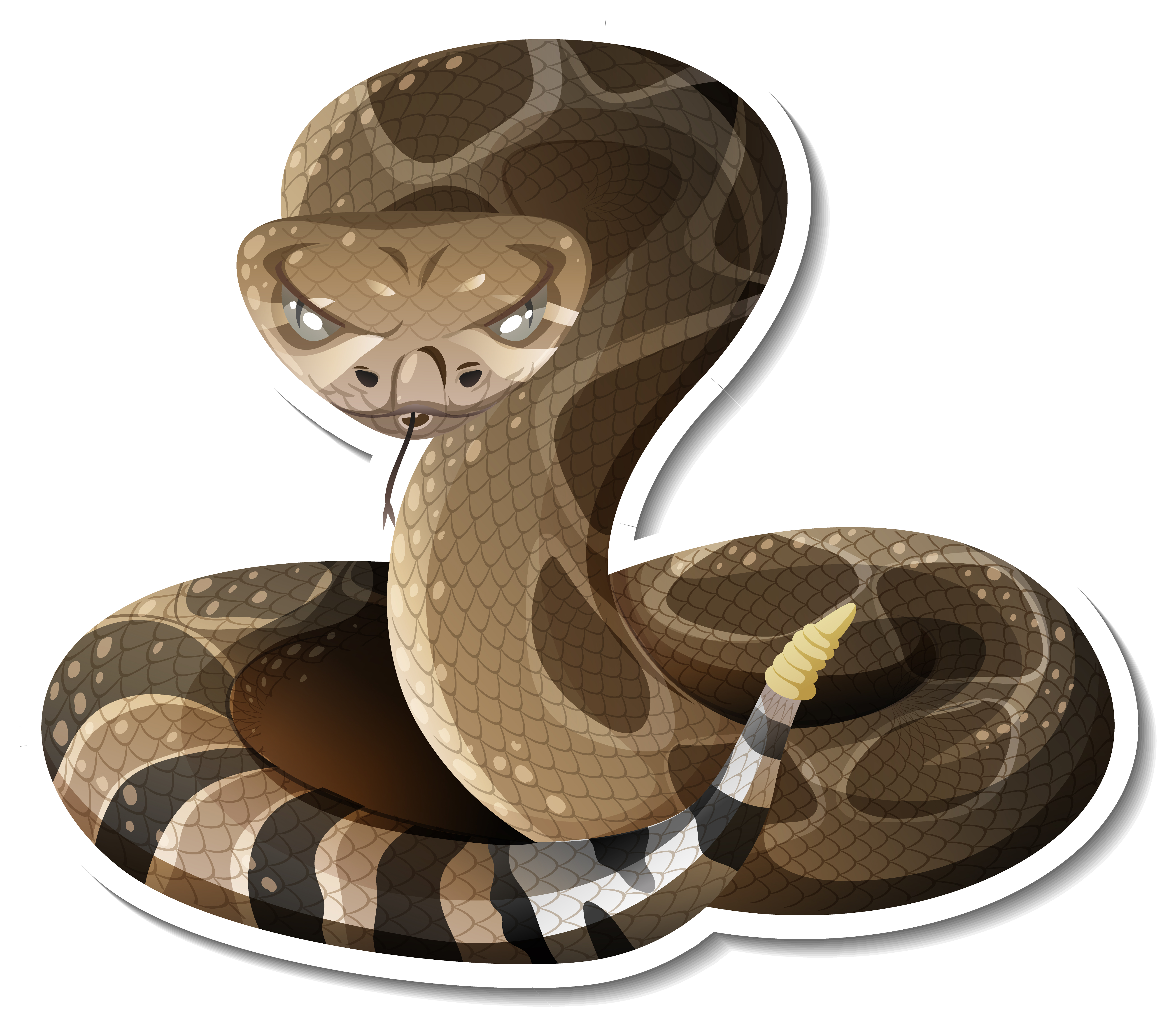 snake image